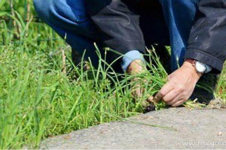 怎么催旺正缘桃花民间招桃花的气运方法？