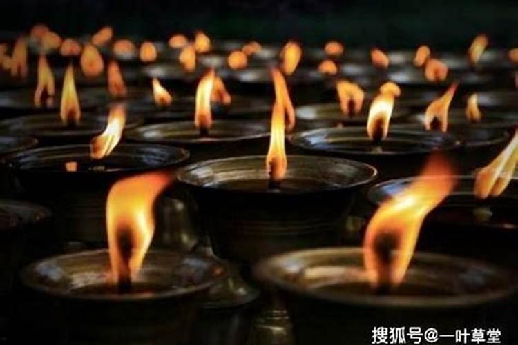 2025生肖兔的运势大全 属兔人2025年每月运势