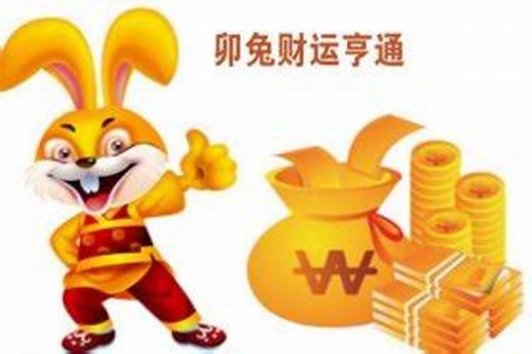 1987年属兔2025年的运势及运程如何