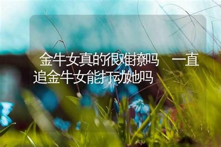 金牛座女生是不是很丑