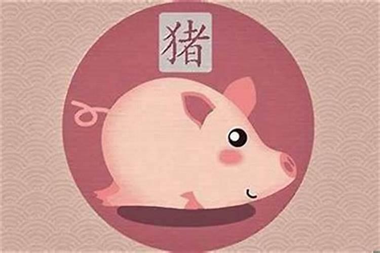 属猪的蛇年犯太岁吗