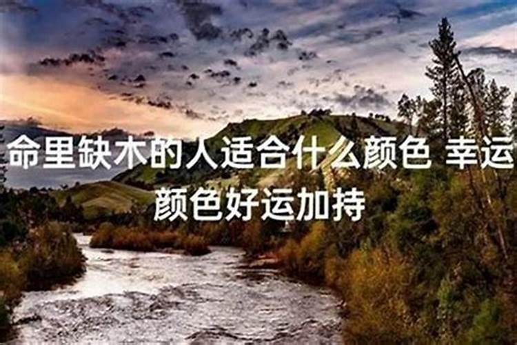 女人命里缺木后果