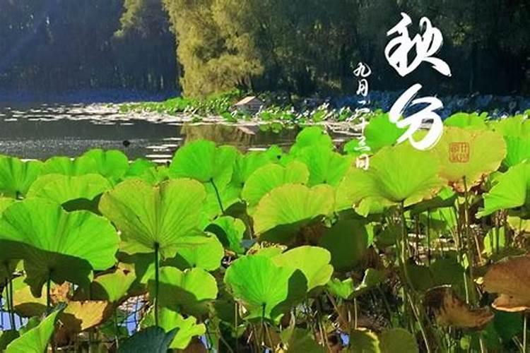 道教超度亡灵回向及补经念什么