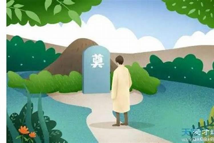 梦到蛇尾巴预示着什么