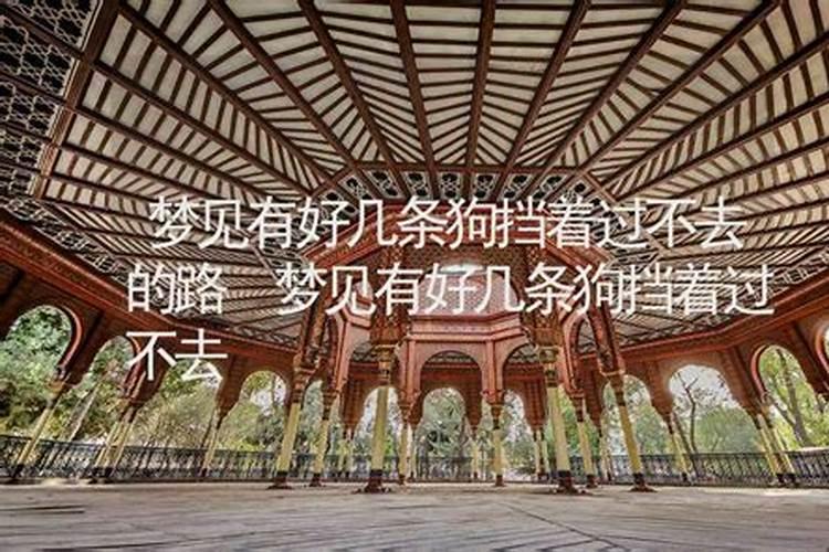 王俊麒老师天机姓名与生肖神数课程视频20集有么？