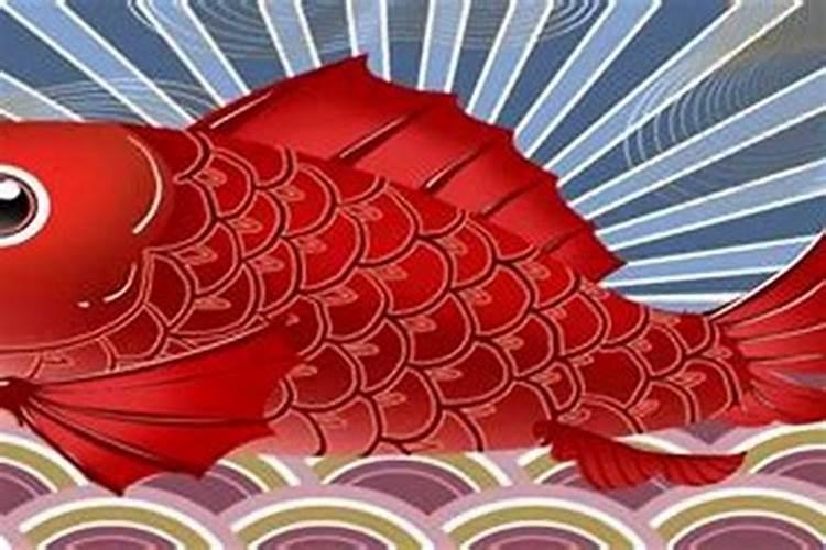 梦到红鲤鱼是什么意思