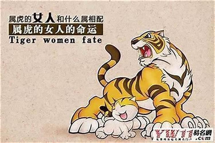 1985年农历十月初一三点半出生命运好不