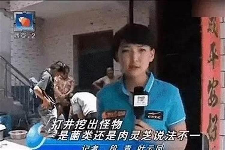 梦见狮子原版周公解梦