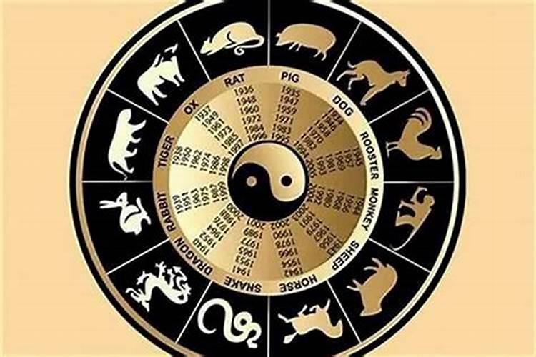 星座属相不合的两人在一起,属相是三合贵人,但星座不和,能配在一起吗