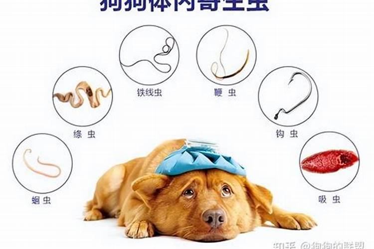 冬至风俗是什么