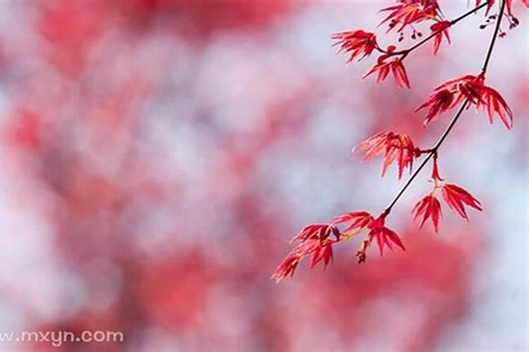 梦见死去多年的舅舅的预兆