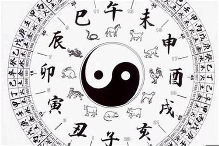 哪个学校有风水