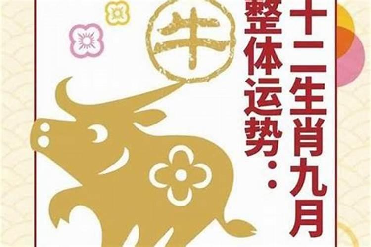 什么是八字中阴差阳错日怎么查？
