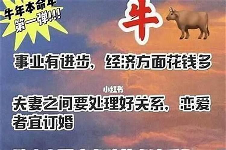 是不是本命年的人都一定会很倒霉？