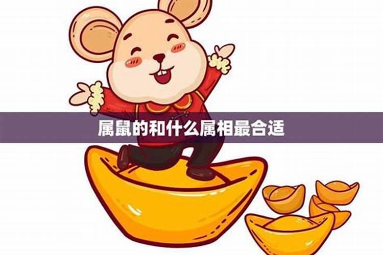 属鼠人一生最旺3人,最旺的属相？