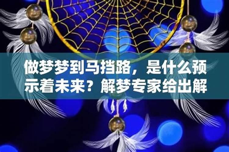 7月的蛇命运如何