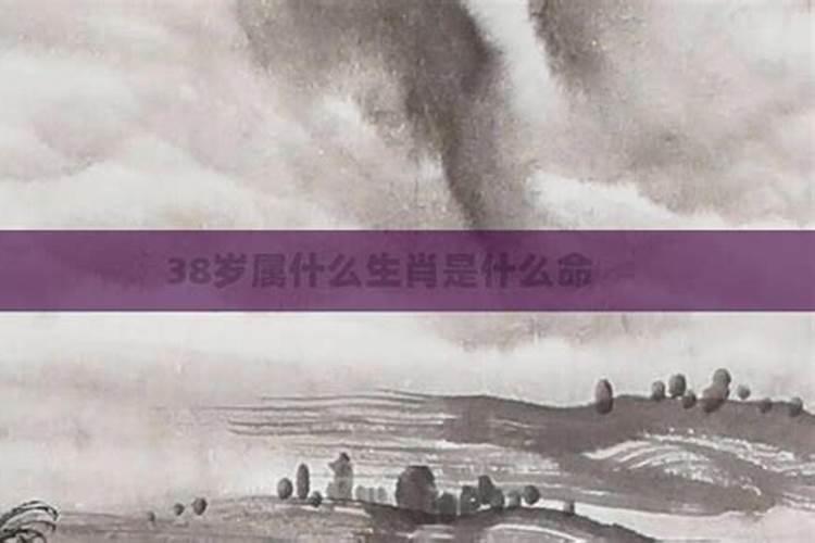 梦见舅舅来家里做客