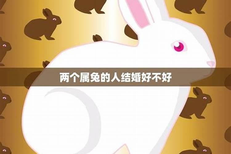 同一属相不出百天好不好,同属相两人生日相差不到一百天结婚会怎样？百 ...
