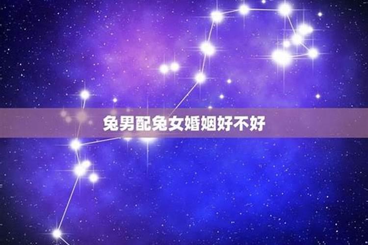 同一属相不出百天好不好,同属相情侣生日不到一百天不好吗