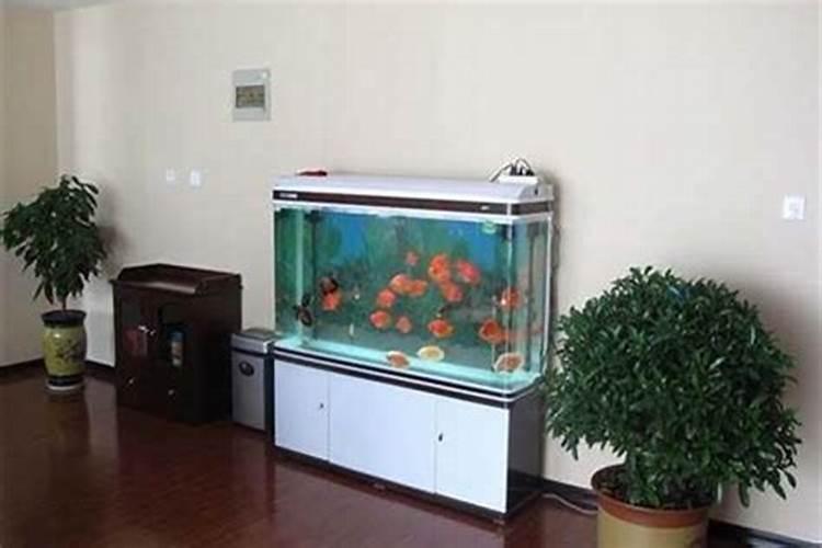 鱼缸摆放有什么风水讲究？