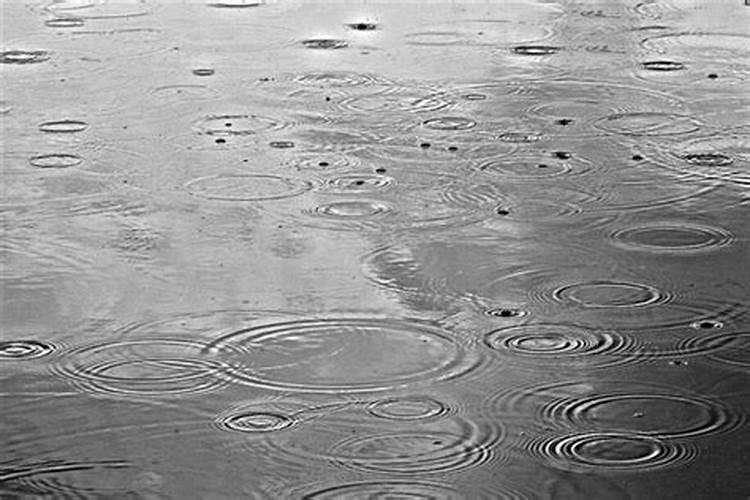 梦见雨水是什么意思 梦见雨水是代表什么
