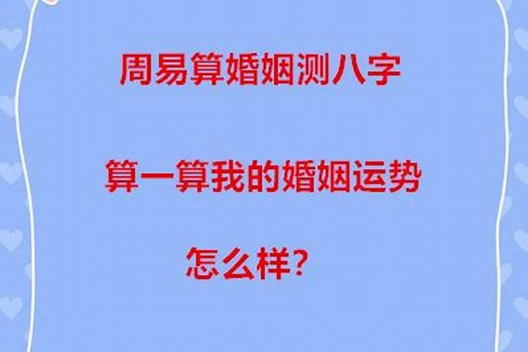 49年属什么生肖属相