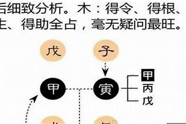 请问我是农历1987年12月27的,我是属兔吗？