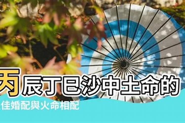 丙辰年和什么属相最配,属龙的和什么属相最配？