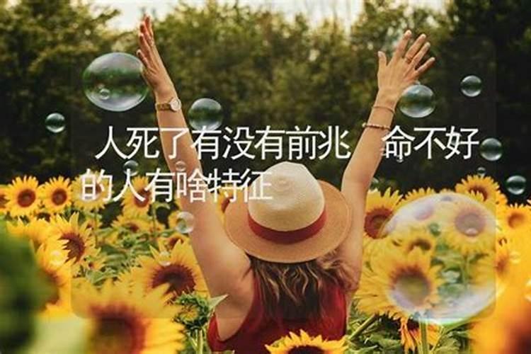五行合好还是属相合好 八字合婚主要看什么