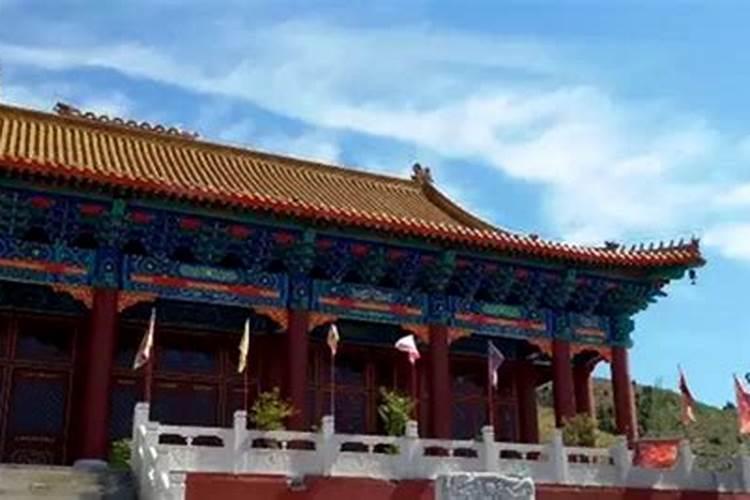 1981年的木命怎么样