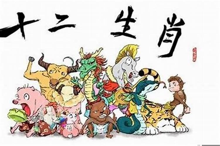 属鸡的命中小人生肖属鸡人的小人属相