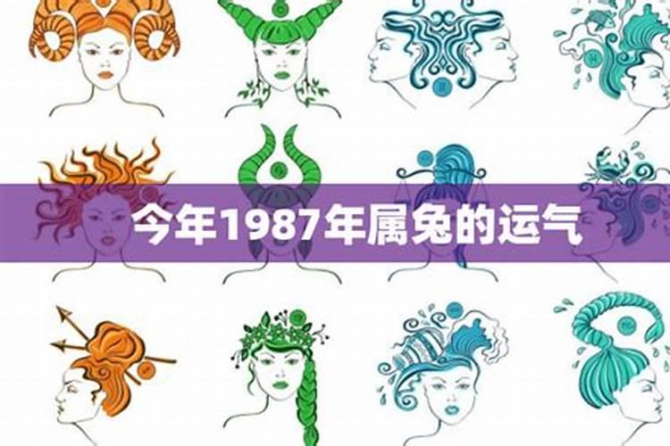 2025属兔人全年运势1987如何