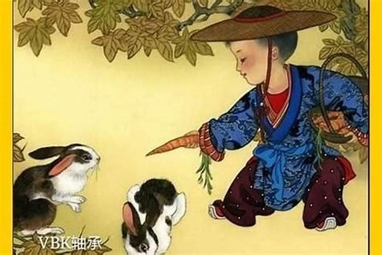 87属兔2024年有大难
