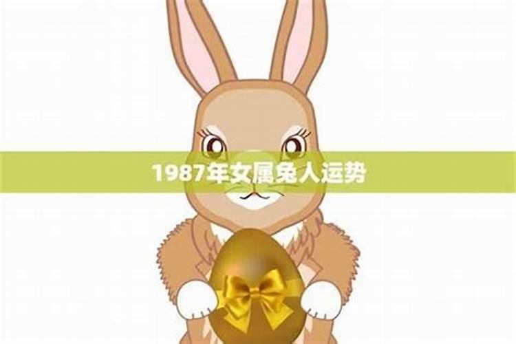 87年兔本命年运势 事业并不理想且财运运势一般