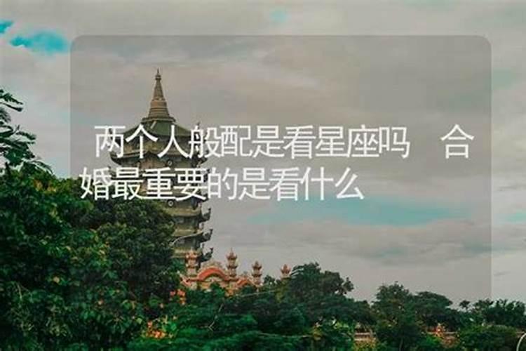 梦见儿子被蛇咬了是什么征兆