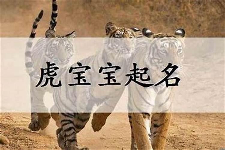 属虎男孩名字最佳字 有内涵有气质男宝宝学名