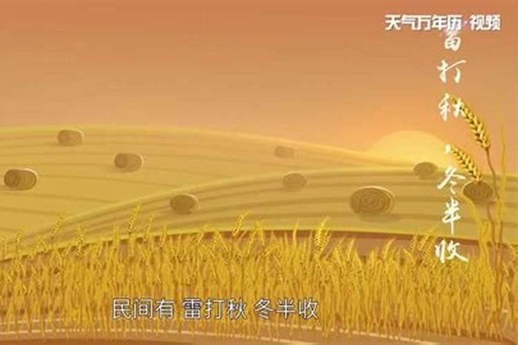 山东哪个水果批发市场最便宜