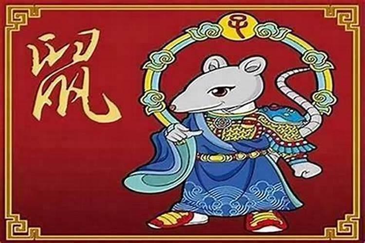 属猪冲太岁怎么化解