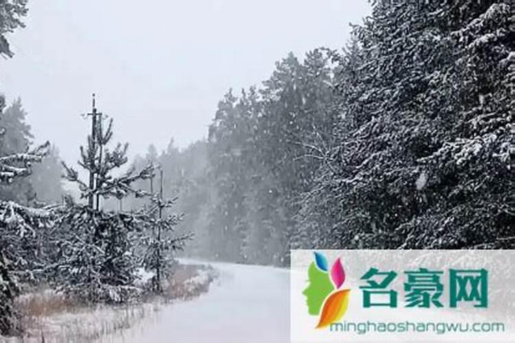 除夕夜下雪的征兆