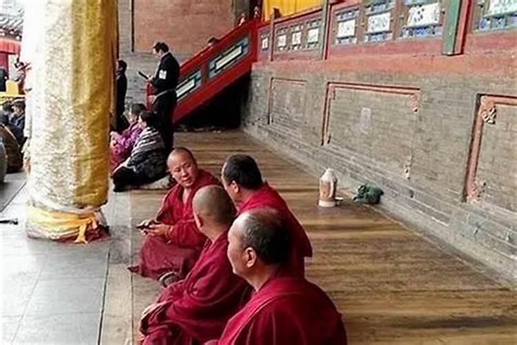属猪的今年开店运气怎么样