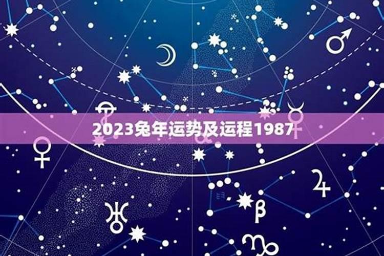 1987年女兔2025年运势及运程