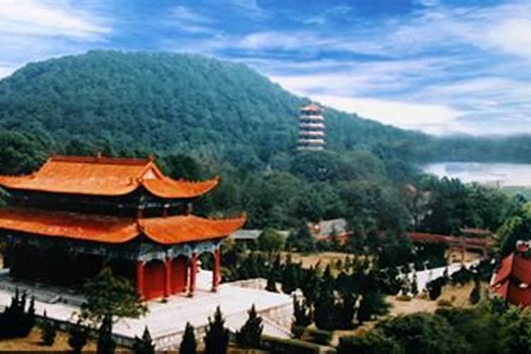 1977年属蛇一生三大劫难2024 77年属蛇命中注定的劫难