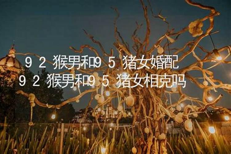 阿sa,阿娇的资料
