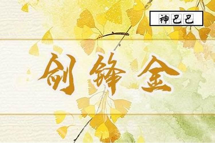 女命全是阴富贵纯阴八字命运