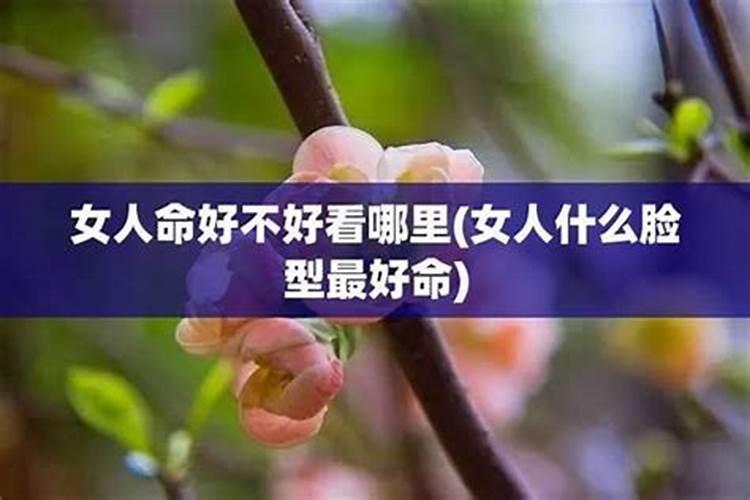 2001年蛇女2025年命运如何