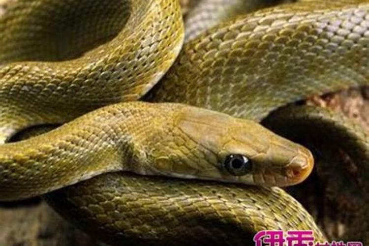 农历三月十五日是吉日吗