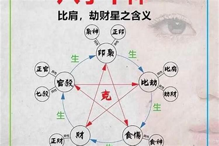 女生冬天吃什么养生