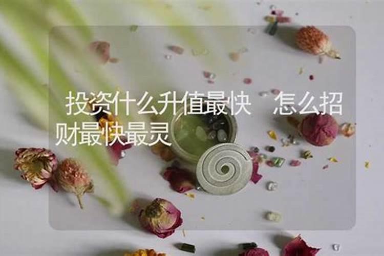 发财最猛的横财催财术催财最快的风水方法