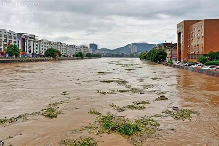 梦见发大水和家人逃跑意味着什么
