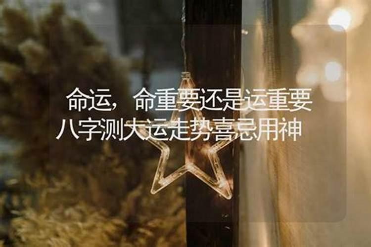 南怀瑾先生谈“算命”,为什么算命造业